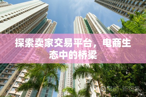 探索卖家交易平台，电商生态中的桥梁