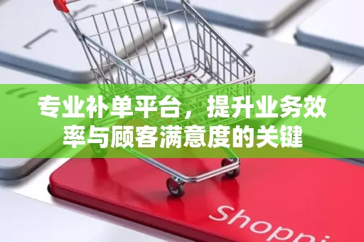 专业补单平台，提升业务效率与顾客满意度的关键