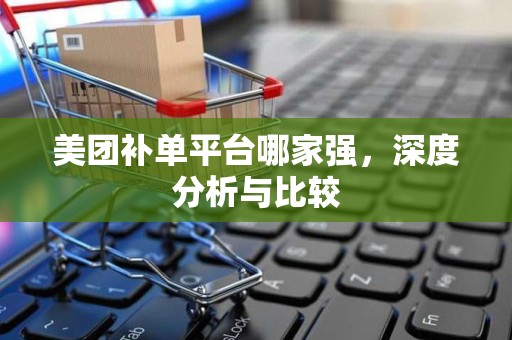 美团补单平台哪家强，深度分析与比较