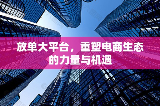 放单大平台，重塑电商生态的力量与机遇