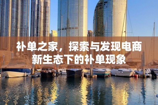 补单之家，探索与发现电商新生态下的补单现象