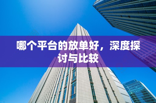 哪个平台的放单好，深度探讨与比较