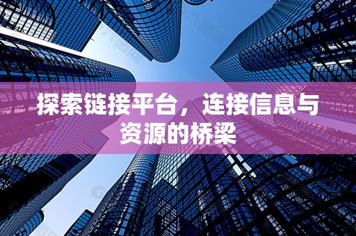 探索链接平台，连接信息与资源的桥梁