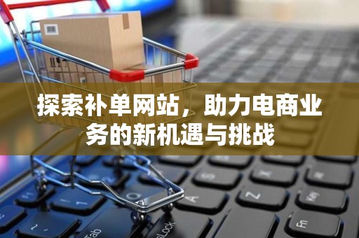 探索补单网站，助力电商业务的新机遇与挑战