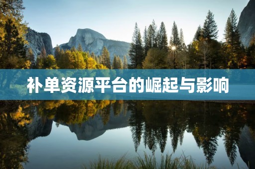 补单资源平台的崛起与影响