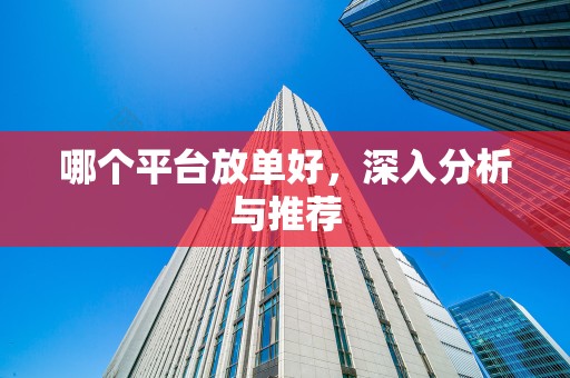 哪个平台放单好，深入分析与推荐