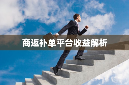 商返补单平台收益解析