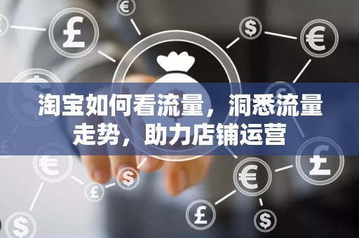 淘宝如何看流量，洞悉流量走势，助力店铺运营