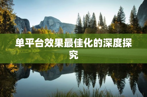 单平台效果最佳化的深度探究