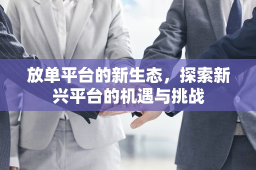 放单平台的新生态，探索新兴平台的机遇与挑战