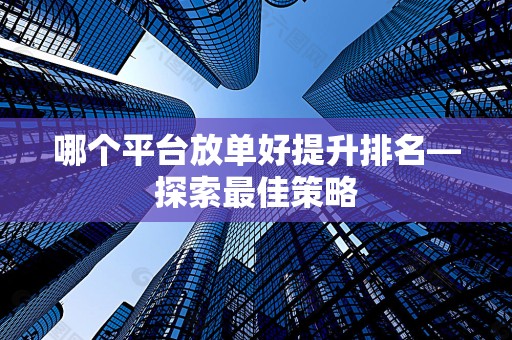 哪个平台放单好提升排名—探索最佳策略