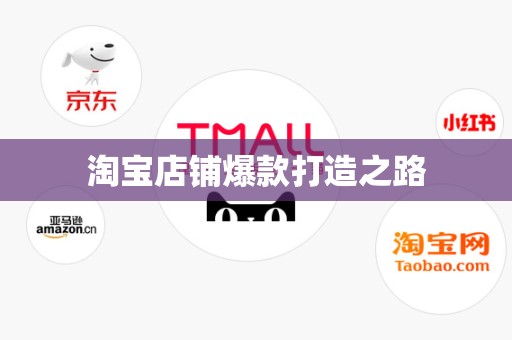 淘宝店铺爆款打造之路