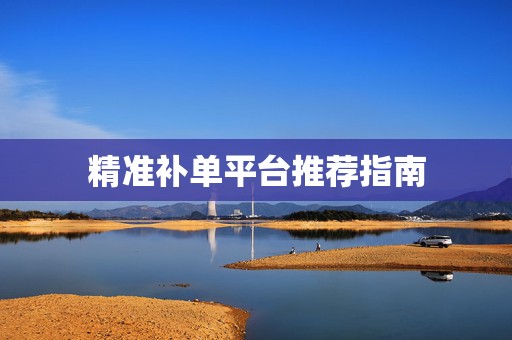 精准补单平台推荐指南