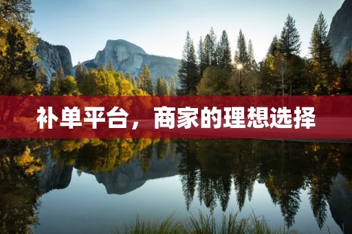 补单平台，商家的理想选择
