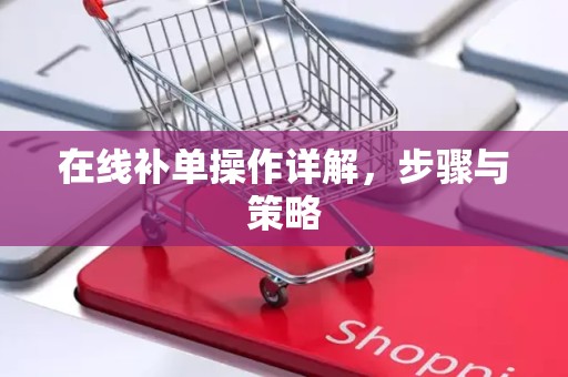 在线补单操作详解，步骤与策略