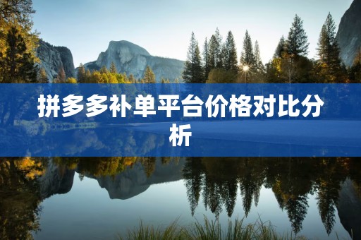 拼多多补单平台价格对比分析