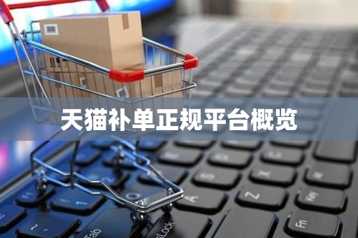 天猫补单正规平台概览