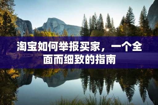 淘宝如何举报买家，一个全面而细致的指南