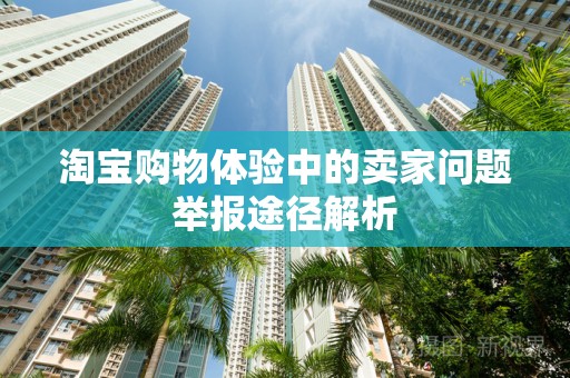 淘宝购物体验中的卖家问题举报途径解析