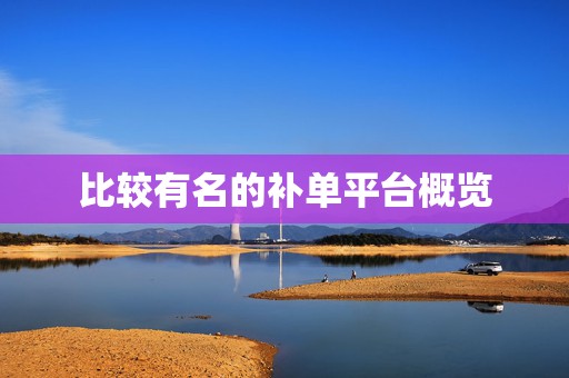 比较有名的补单平台概览