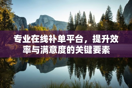 专业在线补单平台，提升效率与满意度的关键要素