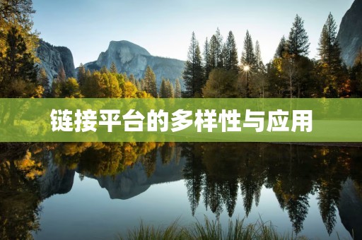 链接平台的多样性与应用