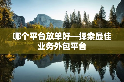 哪个平台放单好—探索最佳业务外包平台