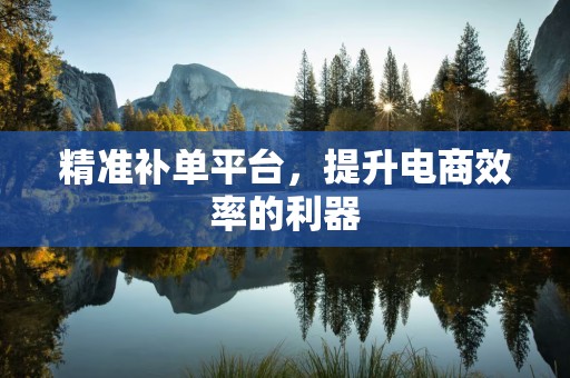 精准补单平台，提升电商效率的利器