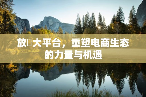 放單大平台，重塑电商生态的力量与机遇