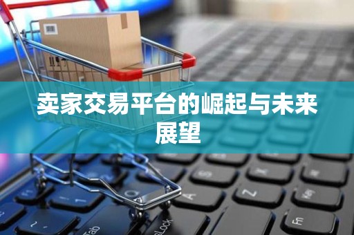 卖家交易平台的崛起与未来展望