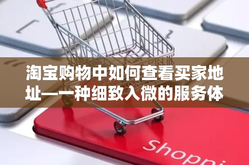 淘宝购物中如何查看买家地址—一种细致入微的服务体验优化