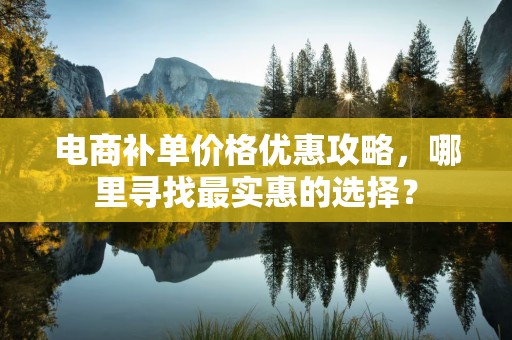 电商补单价格优惠攻略，哪里寻找最实惠的选择？
