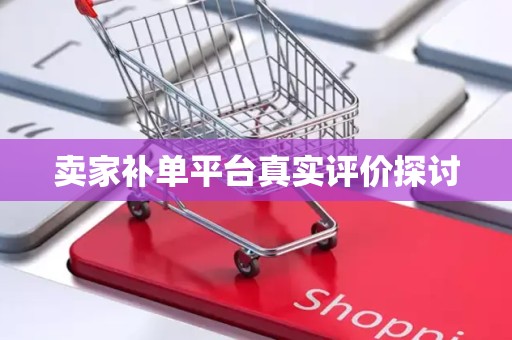 卖家补单平台真实评价探讨