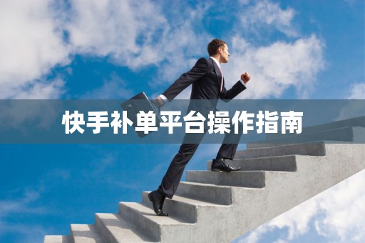 快手补单平台操作指南