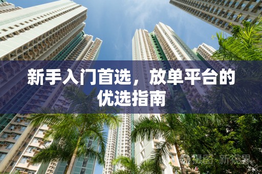 新手入门首选，放单平台的优选指南