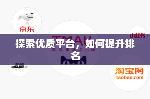 探索优质平台，如何提升排名