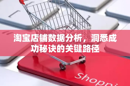 淘宝店铺数据分析，洞悉成功秘诀的关键路径