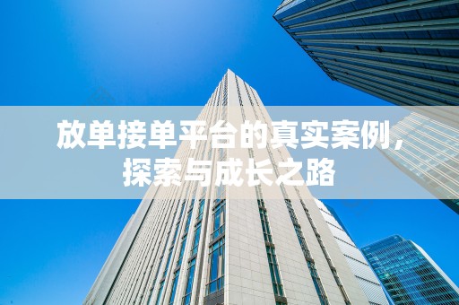 放单接单平台的真实案例，探索与成长之路