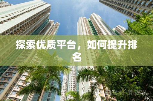 探索优质平台，如何提升排名