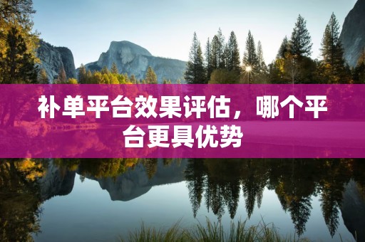 补单平台效果评估，哪个平台更具优势