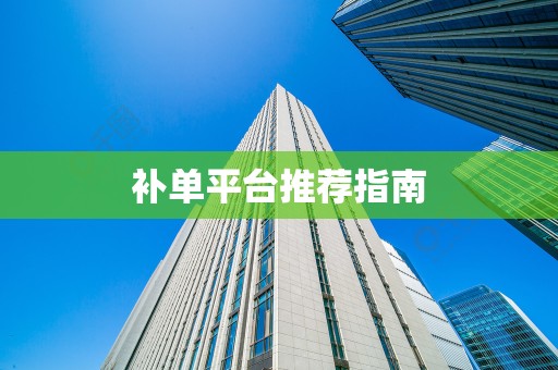 补单平台推荐指南