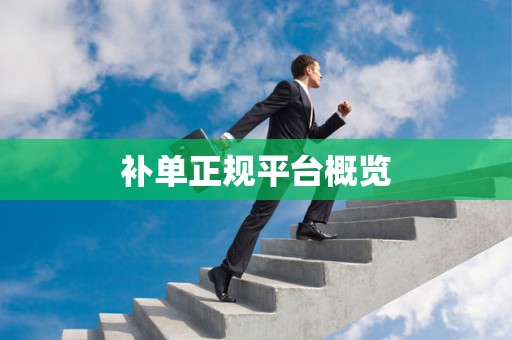 补单正规平台概览