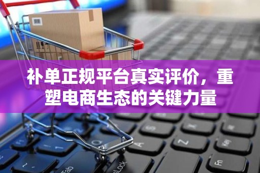 补单正规平台真实评价，重塑电商生态的关键力量