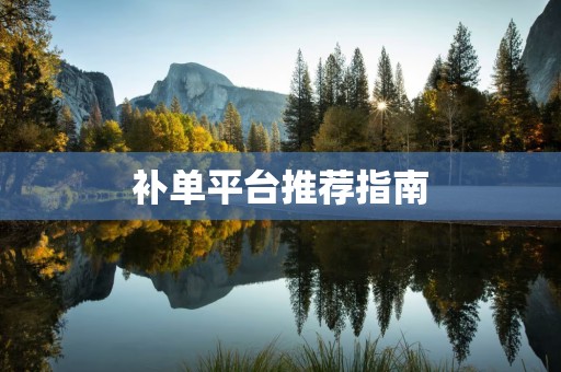 补单平台推荐指南