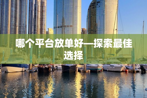 哪个平台放单好—探索最佳选择