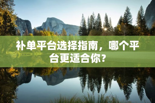 补单平台选择指南，哪个平台更适合你？