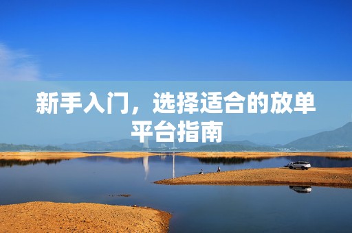 新手入门，选择适合的放单平台指南