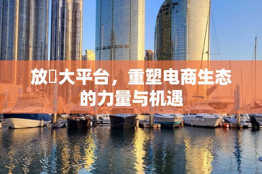 放單大平台，重塑电商生态的力量与机遇