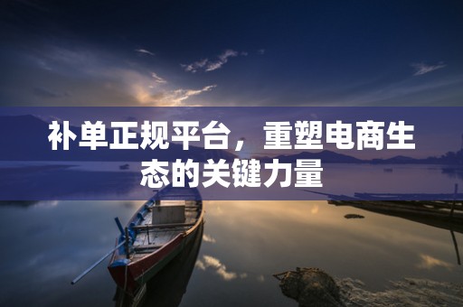 补单正规平台，重塑电商生态的关键力量