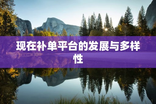 现在补单平台的发展与多样性